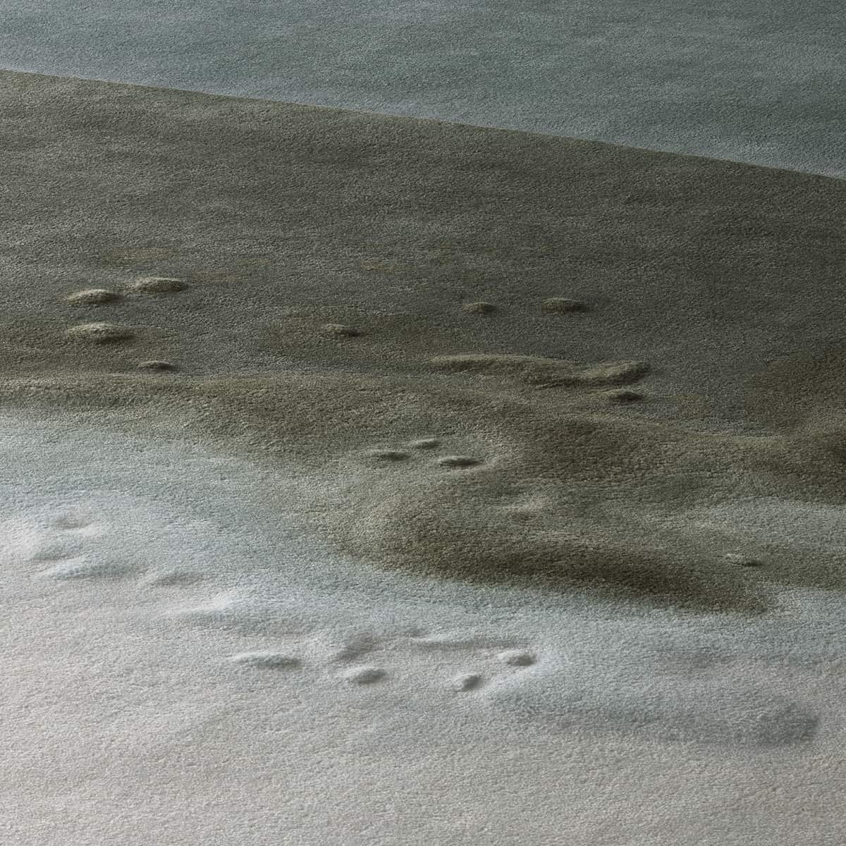 Teppich Detailfoto mit bauen Verlauf
