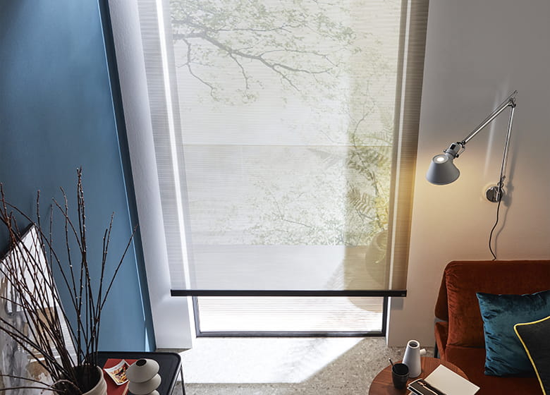 Wohnzimmer mit blauer Wand und einem verdunkelnden Rollo