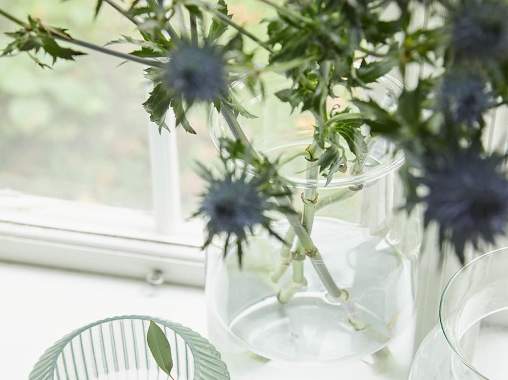 Detailaufnahme einer Blume