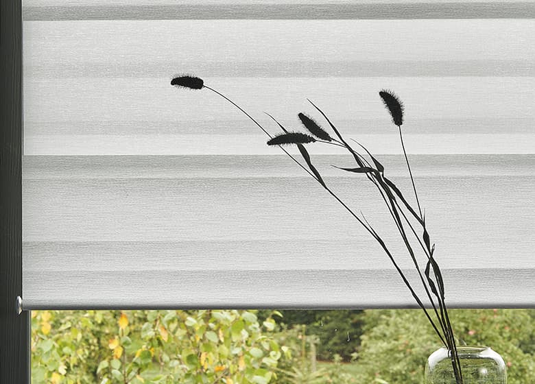 Doppelrollo am Fenster